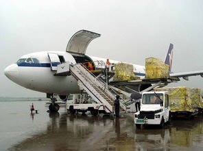 深圳至伊朗空運全指南 時效、費用、航班查詢與代理服務詳解