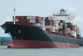 和鑫國際貨運物流（捷昕） 連接兩岸三地的專業貨運代理伙伴